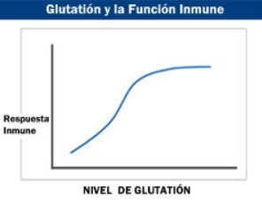 Glutatión y Respuesta Inmune
